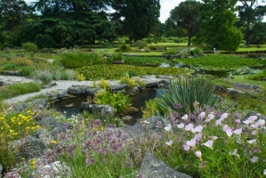 The Limestone Rock Garden today