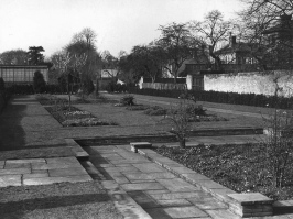 The Old Winter Garden, 1954